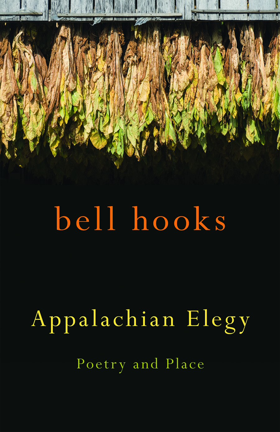 University Press of Kentucky (UPK) author bell hooks has been named the recipient of the 2013 Black Caucus of the American Library Association’s (BCALA) Best Poetry Award for her book "Appalachian Elegy: Poetry and Place."
